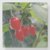 rote Flecken im Herbst Steinuntersetzer (Vorderseite)