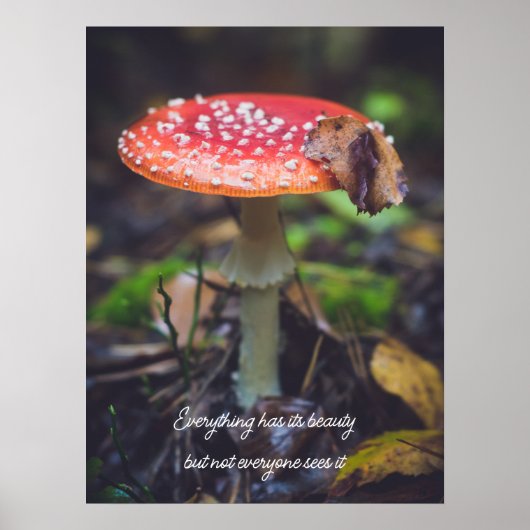 Rote Fliege Agaric Pilz im Wald Poster (Vorne)