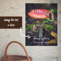 Rote Fliege Agaric Pilz im Wald