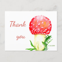 Rote Fliege agarisch, Pilz. Dankeschön