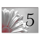 Rote Flora Highlights Tischnummern (Vorderseite)