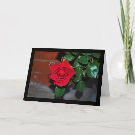 Rote Florale Rose Karte (Vorderseite)