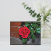 Rote Florale Rose Postkarte (Stehend Vorderseite)