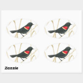 Rote-Flügel-Blackbird-Aufkleber Ovaler Aufkleber (Blatt)