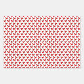 Rote Flugzeuge Geburtstagskopfblätter Geschenkpapier Set (Vorderseite 3)