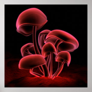 Rote Fluoreszenz (Square) Poster