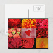 Rote Fotografie Postkarte (Vorne/Hinten)