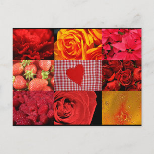 Rote Fotografie Postkarte