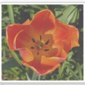 rote Frühlingsblume Aufkleber (Vorderseite)
