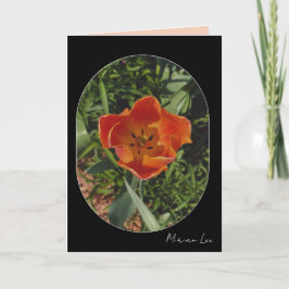 rote Frühlingsblume Karte