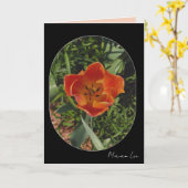 rote Frühlingsblume Karte (Gelbe Blume)
