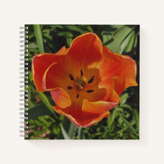 rote Frühlingsblume Notizblock (Vorderseite)