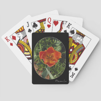 rote Frühlingsblume Spielkarten