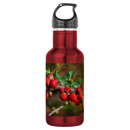 Rote Frühlingsbügel Edelstahl Wasserflasche (Vorderseite)