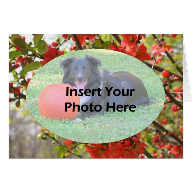Rote Frühlingskarte blüht florale Fotokarte (Vorderseite (Horizontal))