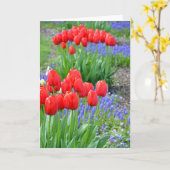 Rote Frühlingstups Blumenkarte Karte (Gelbe Blume)
