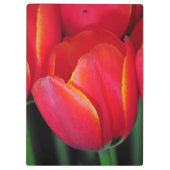 Rote Frühlingtulis Klemmbrett (Rückseite)