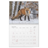 Rote Füchse Ganzjähriger Kalender (Jan 2027)