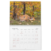 Rote Füchse im Herbstkalender Kalender (Feb 2027)