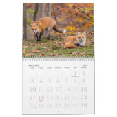 Rote Füchse im Herbstkalender Kalender (Jan 2027)