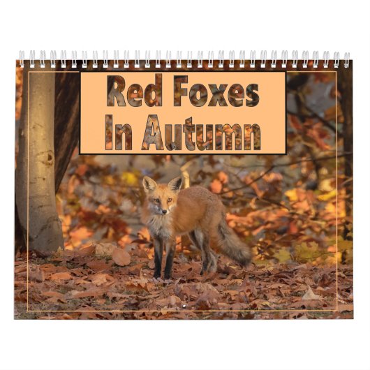 Rote Füchse im Herbstkalender Kalender (Titelbild)