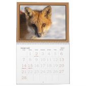 Rote Füchse im Jahreskalender Kalender (Feb 2027)
