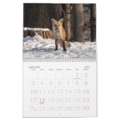Rote Füchse im Jahreskalender Kalender (Jan 2027)