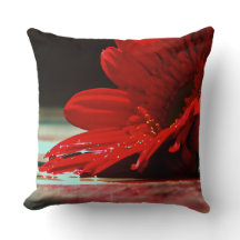 Rote Gänseblümchengerbera-Blumen