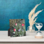 Rote Gartentulis Fotoplatte (InSitu)