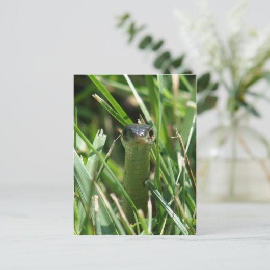 Rote Garterschlange im Gras Postkarte (Stehend Vorderseite)