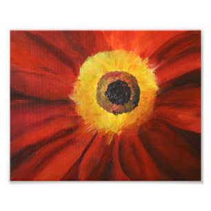 Rote Gelbe Blume Kunst Kodak Fotopapier Fotodruck