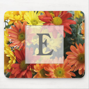 Rote, gelbe, orangefarbene bunte Herbstmargeritenb Mousepad