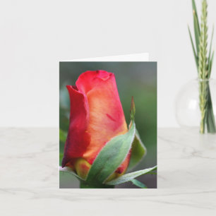 Rote gelbe Rosenknospe Blumenfotografie Notiz Karte