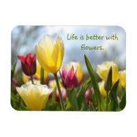 Rote, gelbe und rosa Tulpen in der Sonne Motiviere