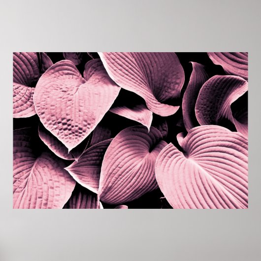 ROTE GELEITETE PFLANZE POSTER (Vorne)