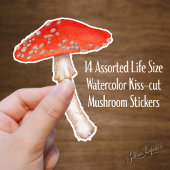 Rote Gepunktete Aquarellmushrooms Aufkleber
