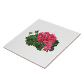 Rote Geranien mit Buds Fliese (Seite)