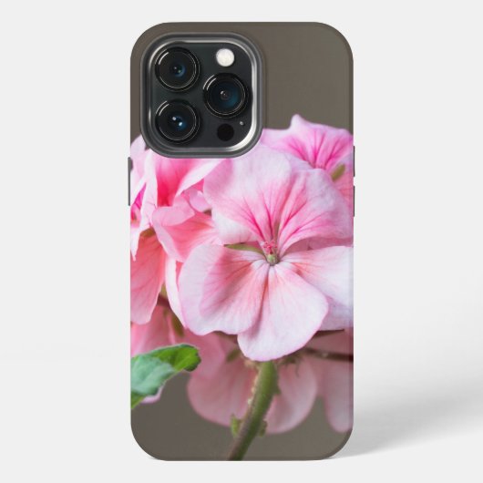 Rote Geranienblüte iPhone Hülle (Hinten)
