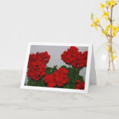 Rote Geranium-Blume, Blumenportrait Karte (Gelbe Blume)