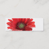 Rote Gerber Gänseblümchen-Kontakt-Karte Telefonnummerkarte (Rückseite)