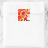 Rote Gerbera Blume Aquarellmalerei Quadratischer Aufkleber (Tasche)