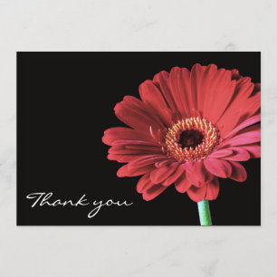 Rote Gerbera-Blume danken Ihnen, Mitteilung zu Dankeskarte