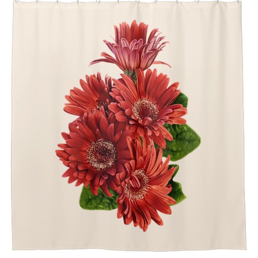 Rote Gerbera-Margeriten Duschvorhang (Vorderseite)