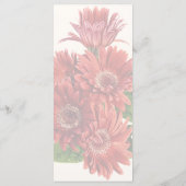 Rote Gerbera-Margeriten Menükarte (Rückseite)