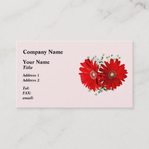 Rote Gerbera-Margeriten und Stephanotis Visitenkarte