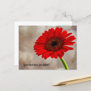 Rote Gerbera-Postkarte Postkarte