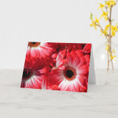 Rote Gerberas Karte (Gelbe Blume)