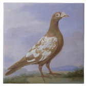 Rote gescheckte Brieftaube (Öl auf Leinwand) Fliese (Vorderseite)