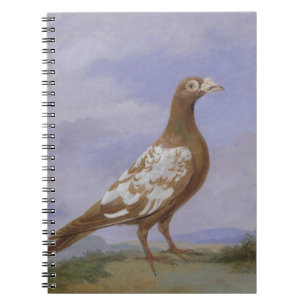 Rote gescheckte Brieftaube (Öl auf Leinwand) Notizblock