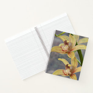 Rote gesprenkelte Cymbidium-Orchideen-Blumen Notizblock